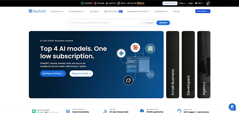Bluehost cheap web hosting plan for beginners 2026