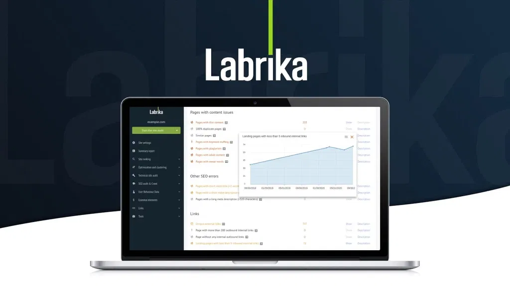 Labrika - Deep Technical Auditing for Sites That Need Serious Fixes